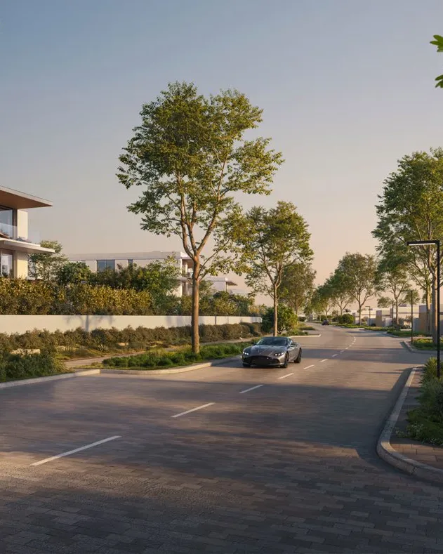 Tree-lined street between villas at sunset